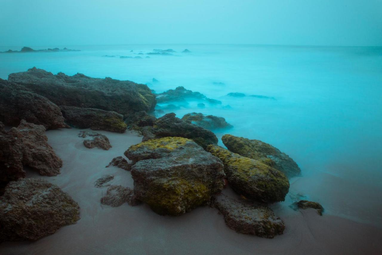 La Crique Nature & Dakhla